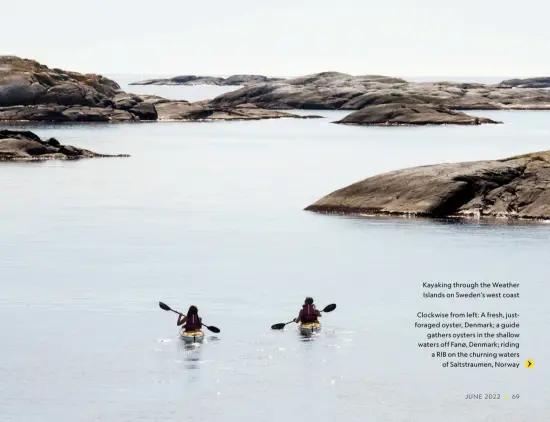  ?? ?? Kayaking through the Weather Islands on Sweden’s west coast
Clockwise from left: A fresh, justforage­d oyster, Denmark; a guide
gathers oysters in the shallow waters off Fanø, Denmark; riding a RIB on the churning waters
of Saltstraum­en, Norway