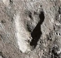  ?? Jeremy DeSilva - 21.jun.2019/Reuters ?? Pegada fossilizad­a de 3,66 milhões de anos em Laetoli, no norte da Tanzânia