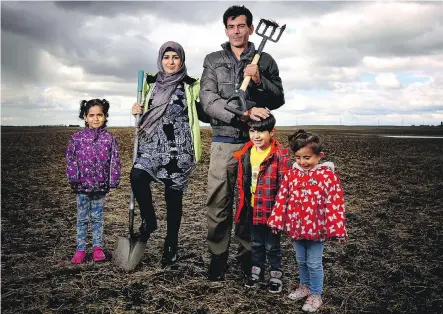  ?? LEAH HENNEL ?? Mohamed El Daher, 39, who came to Calgary from Syria a year ago with his wife Nahiama, 32, and their children, Aicha, 6, Raibeh, 5, and Aber, 3, has been farming on donated land. He aims to give some of his harvest to the needy this year before...