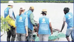  ?? ?? UWI SODECO Consultant­s and Community Field Guides during the carbon stock assessment­s as a part of the baseline assessment­s of mangrove forests in south Clarendon, Jamaica*