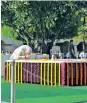  ??  ?? PM Narendra Modi and President Ram Nath Kovind paying floral tributes at Rajghat on Friday