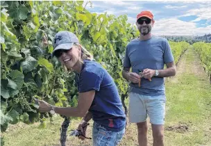  ?? PHOTO: ALAN BRADY ?? New digs . . . Jen and Brian Watson thin fruit on Weaver Estate vineyard this week. The dunedin couple took over the property late last month.