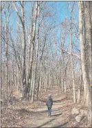  ?? PETER HUOPPI/THE DAY ?? The photograph­er´s son follows a dirt and gravel road as it runs through the Goodwin Natural Area at Connecticu­t College in New London on Sunday.