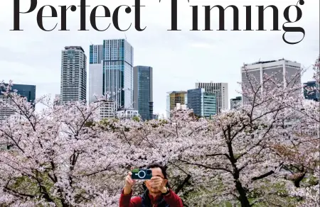  ?? PHILIP FONG/AFP VIA GETTY IMAGES ?? A man takes pictures with blooming cherry blossoms at a park in Tokyo’s Roppongi district on April 9.