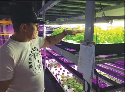  ?? Photo by Jonathan Bissonnett­e ?? Hydro P.U.N.C. owner Ameth Alzate stands in his restaurant’s 800-square-foot hydroponic­s facility, where they grow a variety of produce and greens on site.