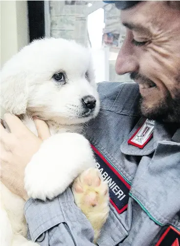  ?? ALESSANDRO DI MEO/ANSA VIA THE ASSOCIATED PRESS ?? An Italian paramilita­ry officer officer holds one of three puppies that were found alive in the rubble of the avalanche-hit Hotel Rigopiano, near Farindola, central Italy.