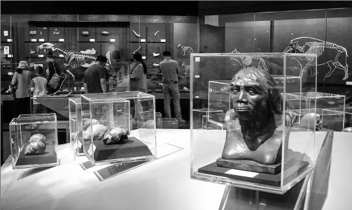  ?? GONG WENBAO / FOR CHINA DAILY ?? The new location for the Zhoukoudia­n Peking Man Relics Museum in Fangshan district, Beijing was opened to the public in May, 2014, and features 1,600 items of relics.