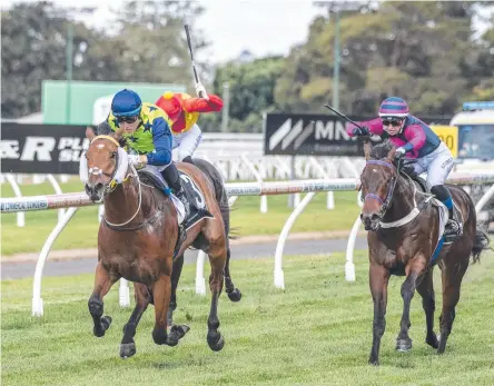  ?? Picture: Nev Madsen ?? BACK ON THE HORSE: Josh Oliver pilots Yangsea to victory at Clifford Park on Tuesday.