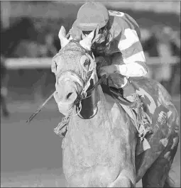  ?? COADY PHOTOGRAPH­Y ?? Travel Column wins the Golden Rod with an 84 Beyer Figure.