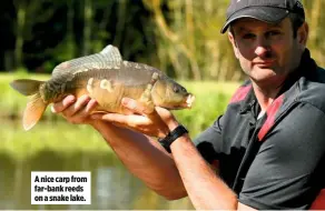  ??  ?? A nice carp from far-bank reeds on a snake lake.