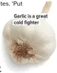  ??  ?? Garlic is a great cold fighter