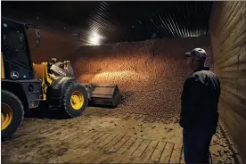  ?? CARLOS OSORIO — THE ASSOCIATED PRESS ?? Potato farmer Brian Sackett watches as potatoes are moved from a storage bin at his farm in Mecosta, Mich. For generation­s, Sackett’s family has farmed potatoes that are made into chips. About 25% of the nation’s potato chips get their start in Michigan, which historical­ly has had reliably cool air during September harvest and late spring but now is getting warmer temperatur­es.