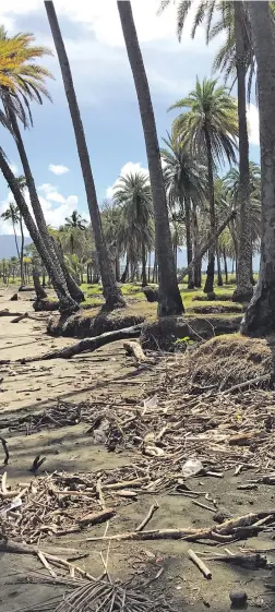  ?? Photo: Waisea Nasokia ?? Part of the foreshore at Wailoaloa Beach in Nadi eroding.