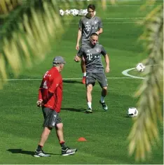  ?? Foto: dpa ?? Training unter Palmen: Am 2. Januar fliegt der FC Bayern ins vertraute Wintertrai ningslager nach Doha.