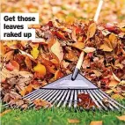  ?? ?? Get those leaves raked up