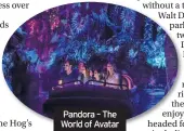  ??  ?? Pandora – The World of Avatar