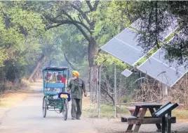  ?? Picture: Reuters ?? NONTOXIC. Cycle rickshaws in Keoladeo Ghana National Park in Rajasthan, India. The park is a World Heritage Site.