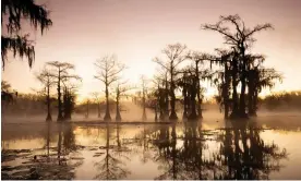  ?? Photograph: wanderlust­er/Getty Images ?? Lake Caddo, on the border between Louisiana and Texas, is a beautiful cypress swamp.