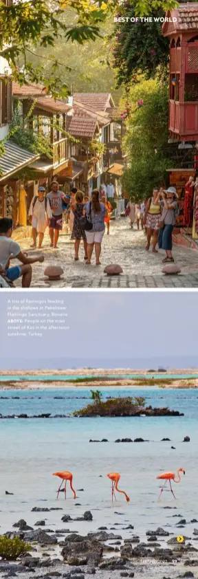  ?? ?? A trio of flamingos feeding in the shallows at Pekelmeer Flamingo Sanctuary, Bonaire
ABOVE: People on the main street of Kas in the afternoon sunshine, Turkey