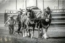  ?? I will go with my father a-ploughing ?? by Sheryn Fogarty at Clifton Library.