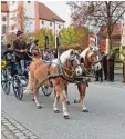  ?? Foto: Gisela Klöck ?? Leonhardir­itte finden wieder in zahlrei chen Orten statt.