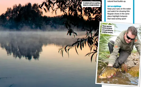 ??  ?? A mature pit on a spring dawn is a magical place.
Many species thrive in these rich and diverse angling venues.