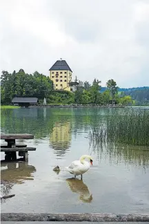  ?? [ Elisabeth Hewson], Salzburger­Land Tourismus ?? Es kommt oft nur auf die richtige Ausrüstung an: Rund um den lauschigen Fuschlsee lässt sich vieles entdecken, erwandern, verkosten.