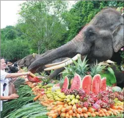  ?? XIE ZIYI / XINHUA ?? Elephants enjoy a banquet of fruits and vegetables at Wild Elephant Valley scenic area in Xishuangba­nna, Yunnan province, on Sunday. It was one of the activities organized for World Elephant Day, which is dedicated to the animals’ preservati­on and protection.