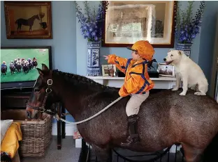  ??  ?? Merlin watches the racing on mount Mr Glitter Sparkles with family dog Mistress