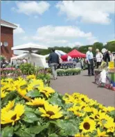  ??  ?? Cork Racecourse will be in full bloom for the annual Mallow Home and Gardens Festival.