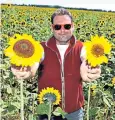  ?? ?? Sunflower grower James Lacey and his crop are loving the warmth and sunshine