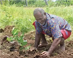  ?? Photo: Ministry of Agricultur­e ?? Turaga ni Koro of Naqai Village, Brian Vunibola plants a lemon tree as part of the Ridge to Reef (R2R) programme.
