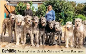 Heute Wien Ausgabe 2020 09 30 Gefrassig Pressreader