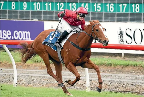  ?? MARTIN HUNTER ?? Ruakaka flying machine Prom Queen will carry the hopes of many Pick6 punters in the Northland Breeders Stakes.