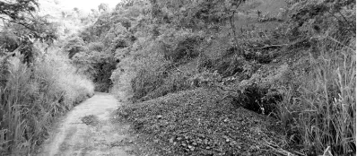  ?? ?? A land slippage along the roadway which leads to Windsor Forest, St Thomas.