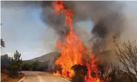  ?? Photograph: Achilleas Chiras/AP ?? Trees burn near the village of Kirkis, near Alexandrou­polis town, in the northeaste­rn Evros region in Greece.