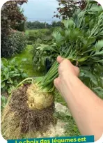  ??  ?? est Le choix des légumes par les conseils aussi guidé des gens du coin.