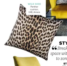  ??  ?? WILD SIDE
Panther cushion, £48, Amara