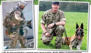  ??  ?? Left: An injured Mali is carried away way from battle battle. Right: With Cpl Daniel Hatley