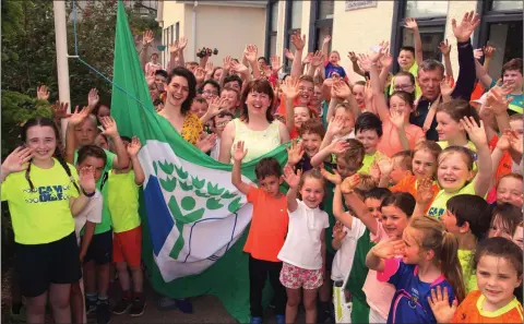  ??  ?? Wexford Senior Camogie star Una Sinnott raising Craanford NS’s latest green flag, watched on by green schools co-ordinator Angela Morris, school principal Stephen Hayes and pupils.