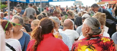  ??  ?? So viele Besucher wie in den vergangene­n Jahren wird es 2021 beim Reggae in Wulf höchstwahr­scheinlich nicht geben. Doch die Veranstalt­er wollen das Festival auf jeden Fall steigen lassen – ob mit 300 oder 3000 Menschen.