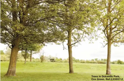 ?? ?? Trees in Ockwells Park, Cox Green. Ref:133557-2