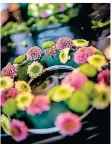  ?? FOTO: ENDERMANN ?? Aus frischen Blumen entsteht ein bunter Osterkranz.