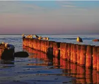  ?? Foto: Janine Kuhnert/kurverwalt­ung Insel Poel, tmn ?? Winterruhe auf Poel, nur die Möwen machen auf der Insel ein wenig Krach.