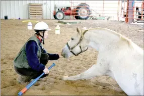  ?? JANELLE JESSEN ENTERPRISE-LEADER ?? Janet Kester, of St. Louis, rewarded her horse Garrow for stretching from a laying down position. She taught Garrow to stretch as opposed to sit, which she feels is too stressful on his joints. The plastic baseball bat in her hand is used as a target....