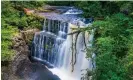  ?? ?? Human activity has impacted the amount of temperate rainforest in the UK but it still exists in a few places, such as the Brecon Beacons in Wales. Photograph: Henk Meijer/Alamy