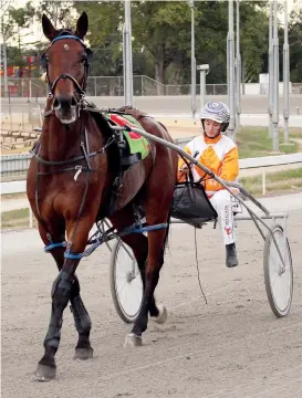  ??  ?? Happy driver Rebecca Bartley returns after her Pacing Bowl Cup win with “San Carlo”.