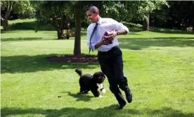  ?? Photograph: The White House/Getty Images ?? Barack Obama plays with Bo on the South Lawn of the White House in May 2009.