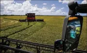  ?? MICHAEL CIAGLO / HOUSTON CHRONICLE ?? Rice farmers will get 28 percent less water from the LCRA this year for their second crop. It is the first time the river authority has curtailed their water supply in three years because of the drought.