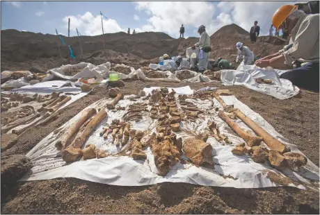  ??  ?? The remains of Japanese soldiers, who died in the battle for Iwo Jima, lie on sheets in December 2010 as people exhume the remains of a mass grave site. Seventy-five years after the end of World War II, more than 1 million Japanese war dead are scattered throughout Asia, where the legacy of Japanese aggression still hampers recovery efforts. (File Photo/AP/David Guttenfeld­er)